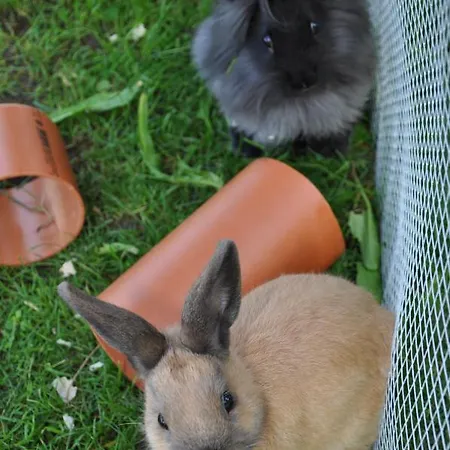 Christian * Aschau Im Zillertal